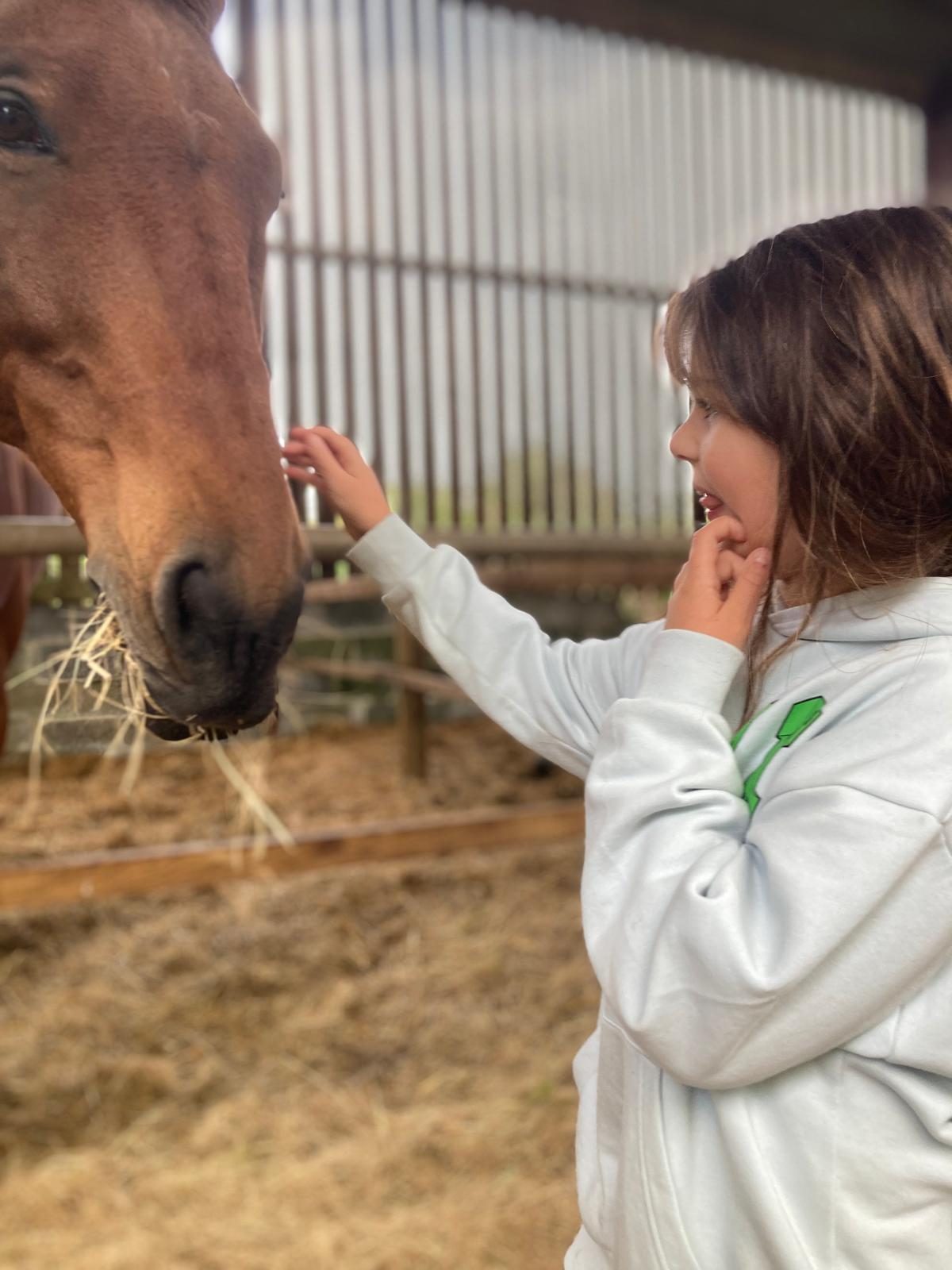 A child reaching out to stroke Brian's nose in the barn at Windmill Hill